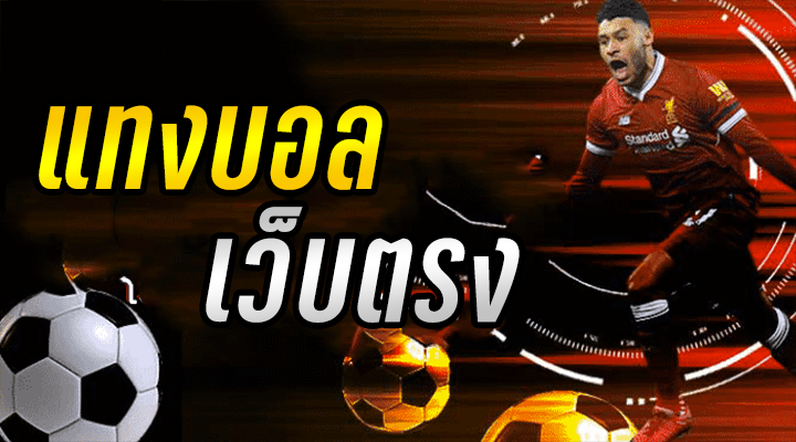 แทงบอล เว็บตรง
