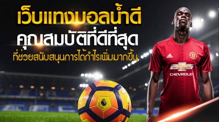 เว็บแทงบอลค่าน้ำดี