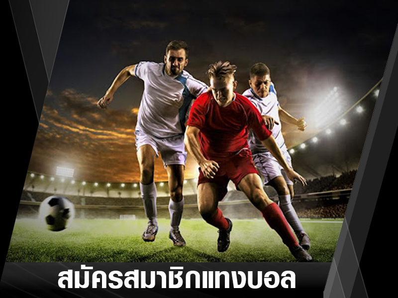 แทงบอลเว็บหลัก 2022