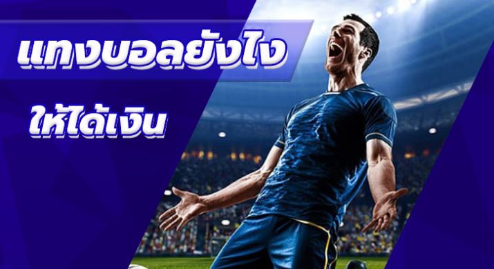 เว็บ แทงบอลโลก