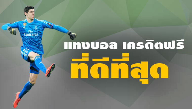 เว็บแทงบอล เครดิตฟรี